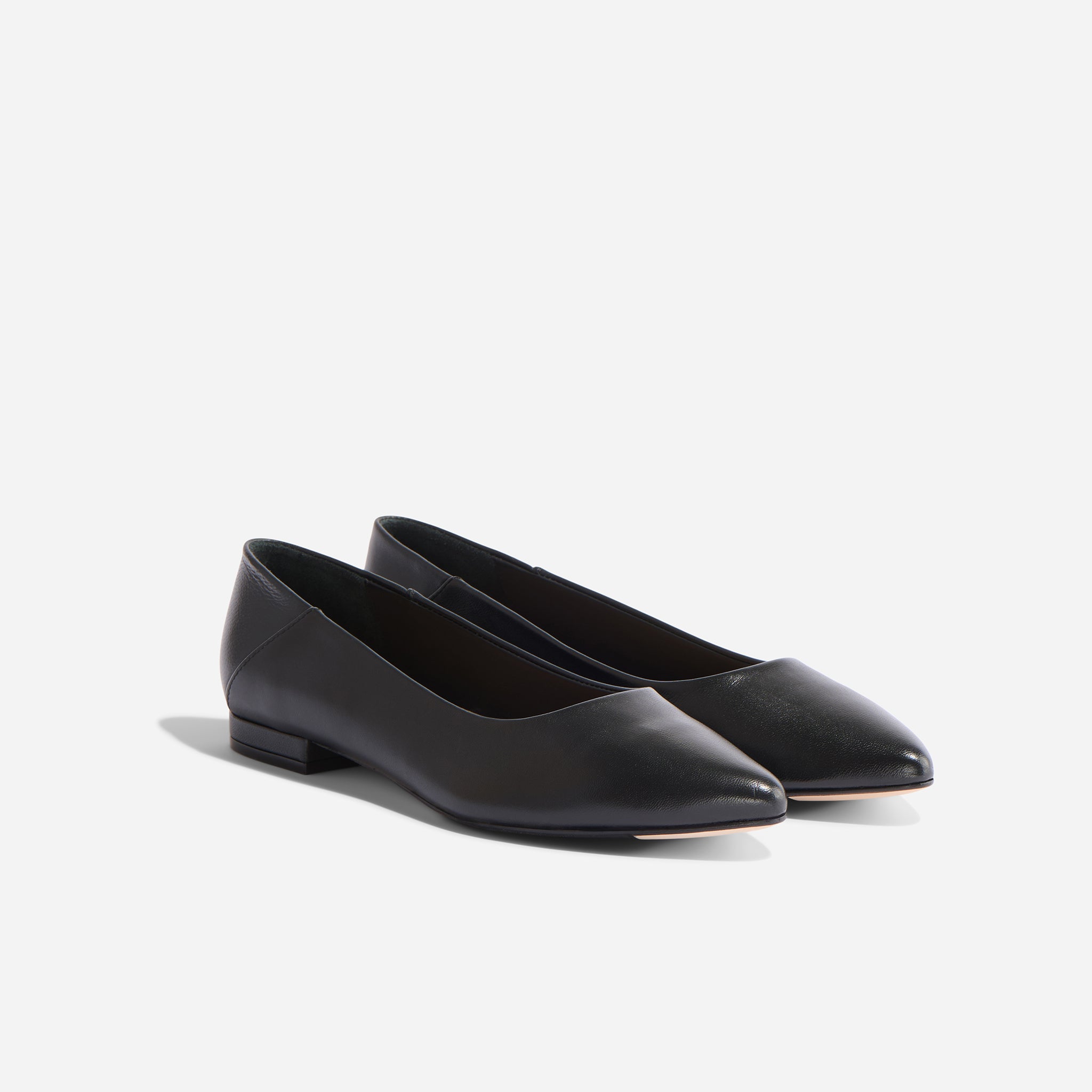 Fina Pointed Toe Flat Black